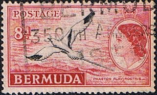 Bermuda 1953 Queen Elizabeth SG 143a White-tailed tropic bird Fine Used