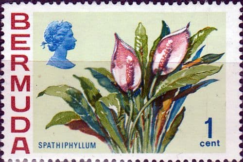 Bermuda 1970 Flowers SG 249 Spathiphyllum Fine Mint