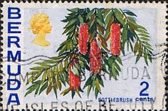 Bermuda 1970 Flowers SG 250 Bottle Brush Fine Used