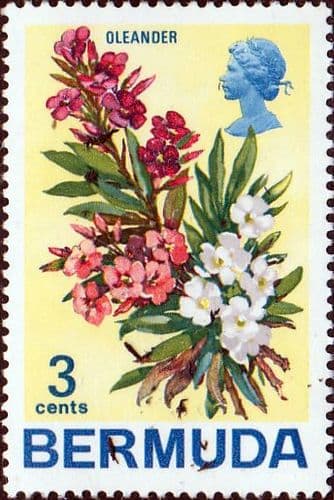 Bermuda 1970 Flowers SG 251 Orleander Fine Mint