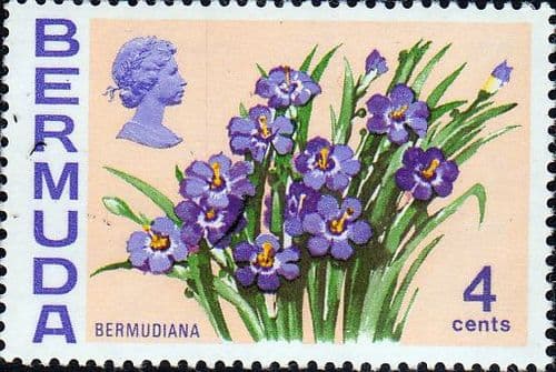 Bermuda 1970 Flowers SG 252 Bermudiana Fine Mint