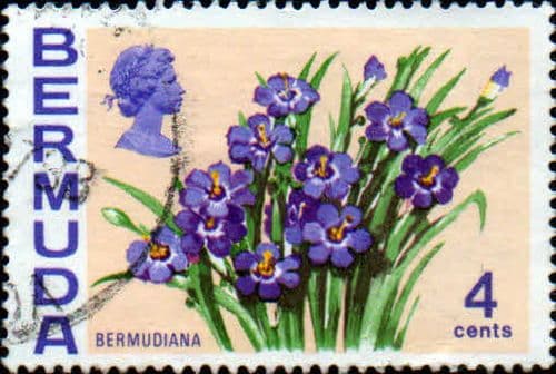 Bermuda 1970 Flowers SG 252 Bermudiana Fine Used