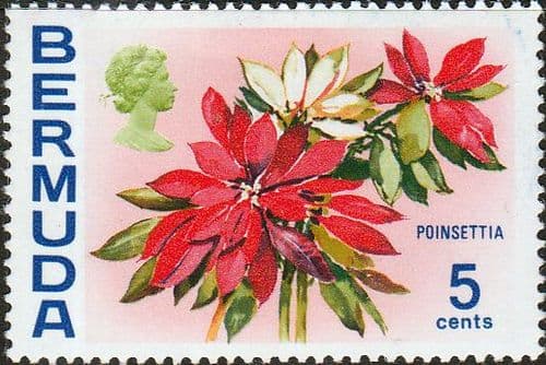 Bermuda 1970 Flowers SG 253 Poinsettia Fine Mint