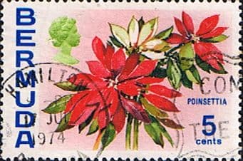 Bermuda 1970 Flowers SG 253 Poinsettia Fine Used