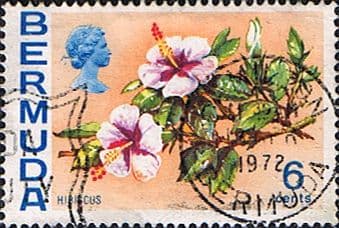 Bermuda 1970 Flowers SG 254 Hibiscus Fine Used