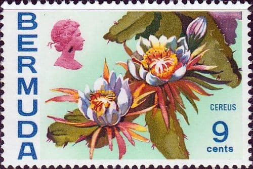 Bermuda 1970 Flowers SG 255 Cereus Fine Mint
