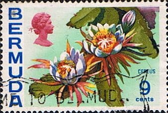Bermuda 1970 Flowers SG 255 Cereus Fine Used