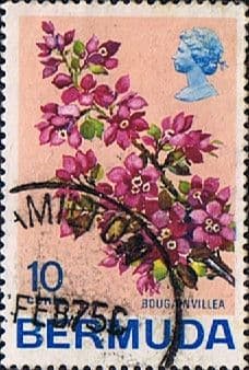 Bermuda 1970 Flowers SG 256 Bougainvillea Fine Used
