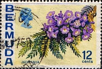 Bermuda 1970 Flowers SG 257 Jacaranda Fine Used