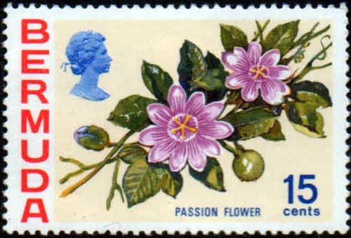 Bermuda 1970 Flowers SG 258 Passion flower Fine Mint