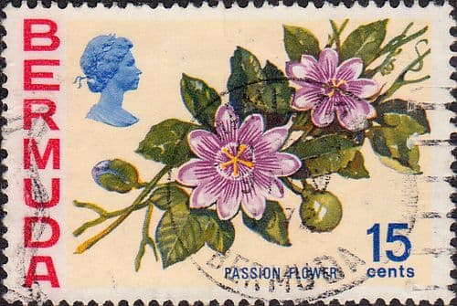 Bermuda 1970 Flowers SG 258 Passion flower Fine Used