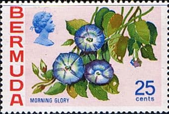 Bermuda 1970 Flowers SG 260a Morning Glory Fine Mint