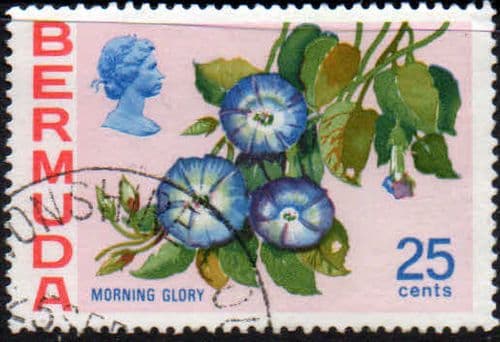 Bermuda 1970 Flowers SG 260a Morning Glory Fine Used