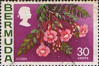 Bermuda 1970 Flowers SG 261 Tecoma Fine Used