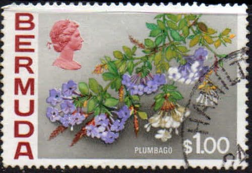 Bermuda 1970 Flowers SG 263a Plumbago Fine Used