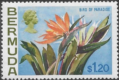 Bermuda 1970 Flowers SG 264 Bird of Paradise Flower Fine Mint
