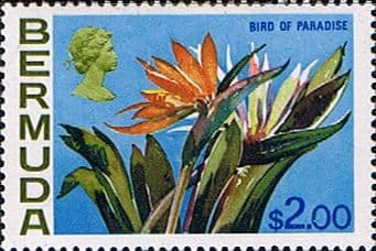 Bermuda 1970 Flowers SG 264a Bird of paradise Flower Fine Mint
