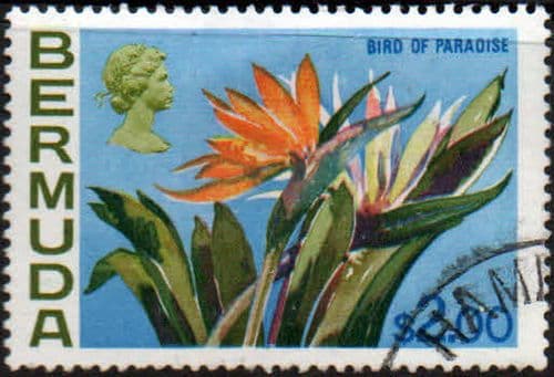 Bermuda 1970 Flowers SG 264a Bird of paradise Flower Fine Used
