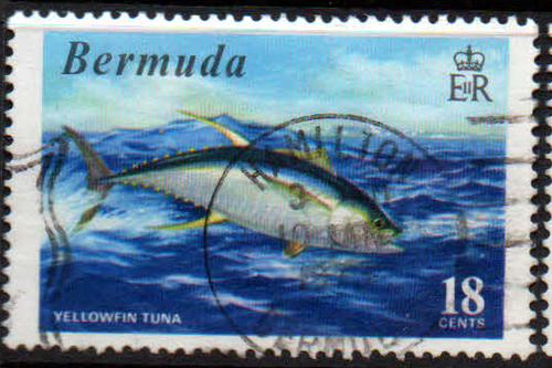Bermuda 1972 World Fishing Records SG289 Fine Used
