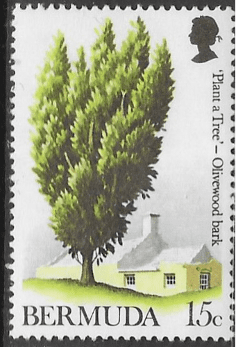 Bermuda 1973 SG 294 Tree Planting Year Fine Mint