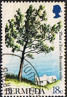 Bermuda 1973 SG 295 Tree Planting Cedar Tree Year Fine Used