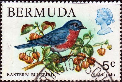 Bermuda 1978 Wildlife SG 389 Fine Used