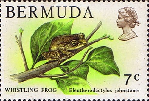 Bermuda 1978 Wildlife SG 390 Fine Mint