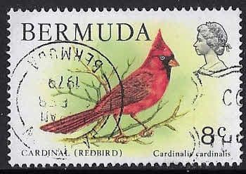 Bermuda 1978 Wildlife SG 391 Fine Used