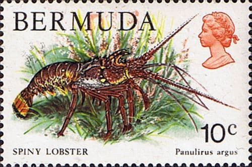 Bermuda 1978 Wildlife SG 392 Fine Mint
