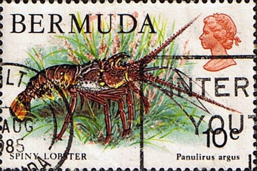 Bermuda 1978 Wildlife SG 392 Fine Used