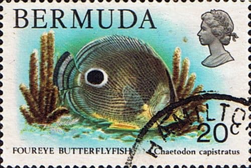 Bermuda 1978 Wildlife SG 395 Fine Used