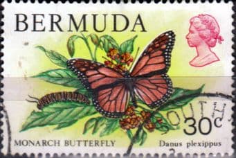 Bermuda 1978 Wildlife SG 397 Fine Used
