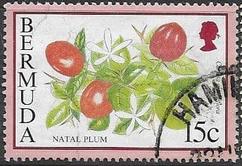 Bermuda 1994 Flowering Fruits SG 705A Fine Used