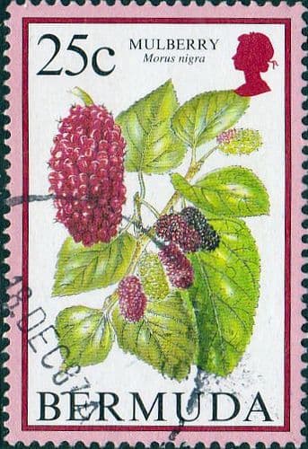 Bermuda 1994 Flowering Fruits SG 708A Fine Used