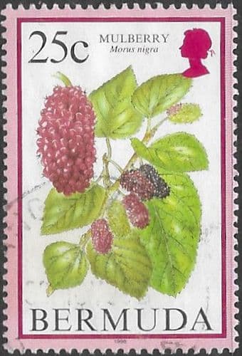 Bermuda 1994 Flowering Fruits SG 708B Fine Used