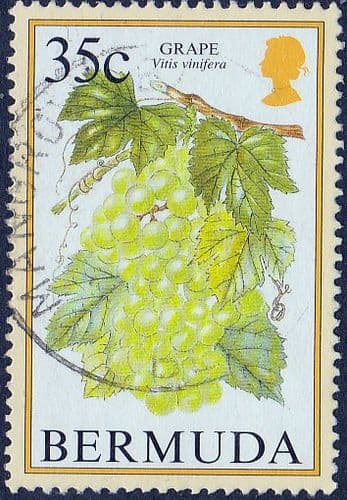 Bermuda 1994 Flowering Fruits SG 709A Fine Used