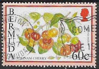 Bermuda 1994 Flowering Fruits SG 711A Fine Used