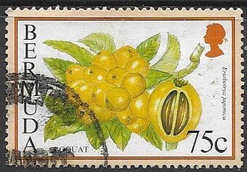 Bermuda 1994 Flowering Fruits SG 712A Fine Used