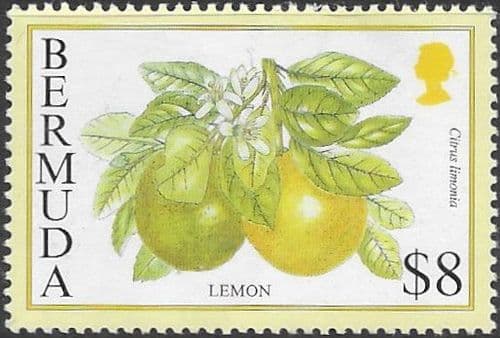 Bermuda 1994 Flowering Fruits SG 718A Fine Mint