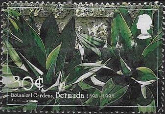Bermuda 1998 Centenary of Botanical Gardens SG 815 Fine Used