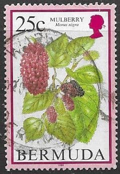 Bermuda 1998 Flowering Fruits SG 798 Fine Used