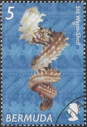 Bermuda 2002 Shells SG 892 Fine Used