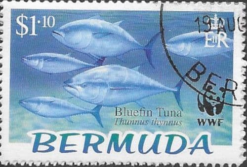 Bermuda 2004 Endangered Species. Bluefin Tuna SG 941 Fine Used