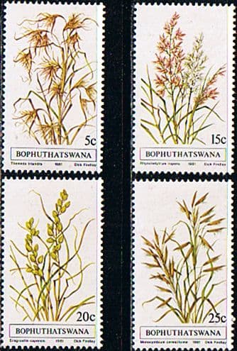 Bophuthatswana 1981 Indigenous Grasses Set Fine Mint