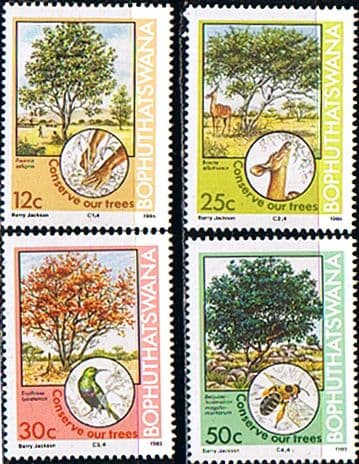 Bophuthatswana 1985 Tree Conservation Set Fine Mint