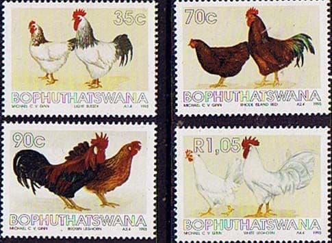 Bophuthatswana 1993 Chickens Set Fine Mint