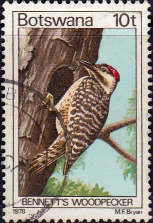 Botswana 1978 Birds SG 417 Fine Used