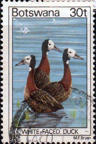 Botswana 1978 Birds SG 421 Fine Used