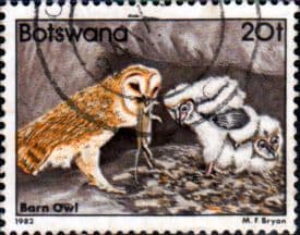 Botswana 1982 Birds Barn Owl SG 525 Fine Used
