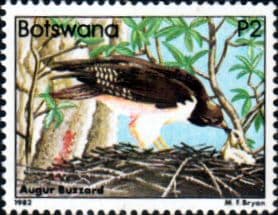 Botswana 1982 Birds Buzzard SG 532 Fine Mint